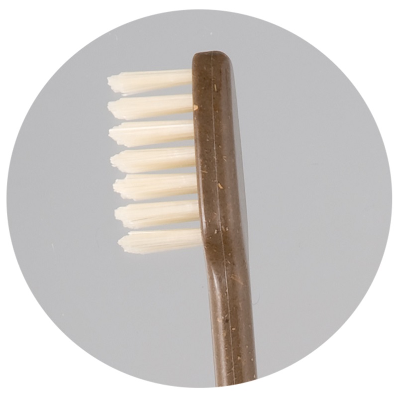 【年度テーマ】竹の歯ブラシ