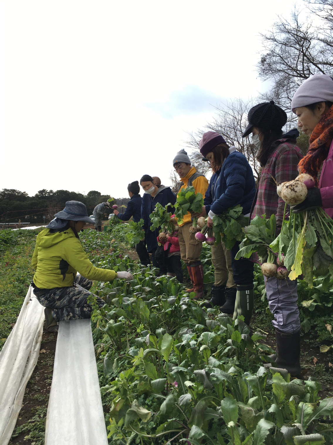 【自由テーマ】【世界をサステナブルにする】 いかすのオーガニック野菜の宅配とサステナブル・アグリカルチャー・スクール”