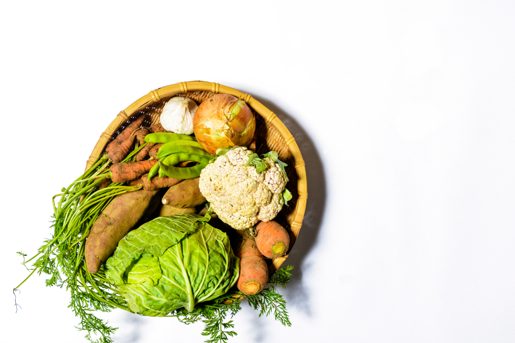 【自由テーマ】【世界をサステナブルにする】 いかすのオーガニック野菜の宅配とサステナブル・アグリカルチャー・スクール”