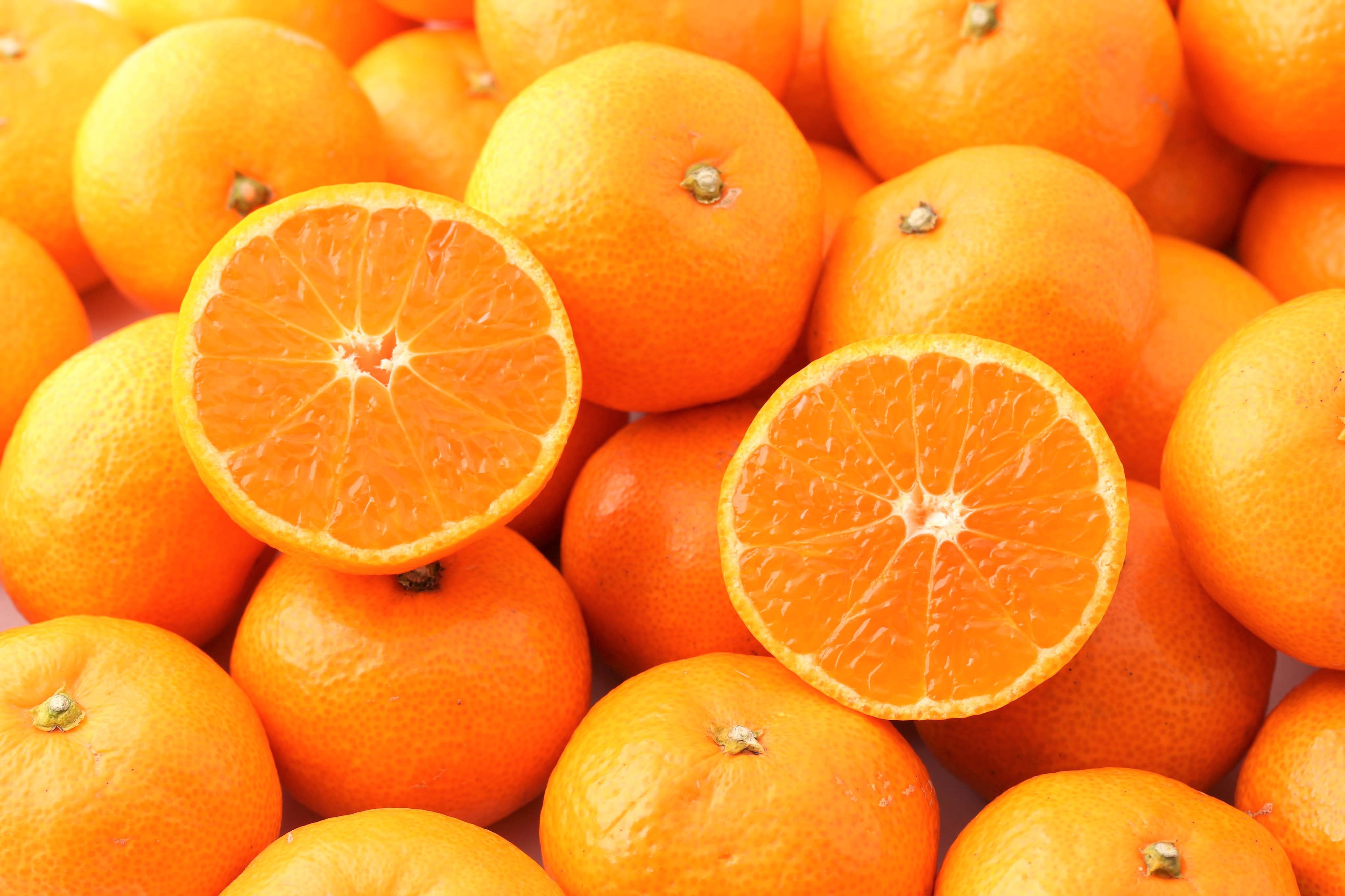 【年度テーマ】柑橘ゼリー「みかんのジャグチ」
