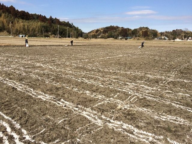 【年度テーマ】自然派日本酒「幸SACHI」