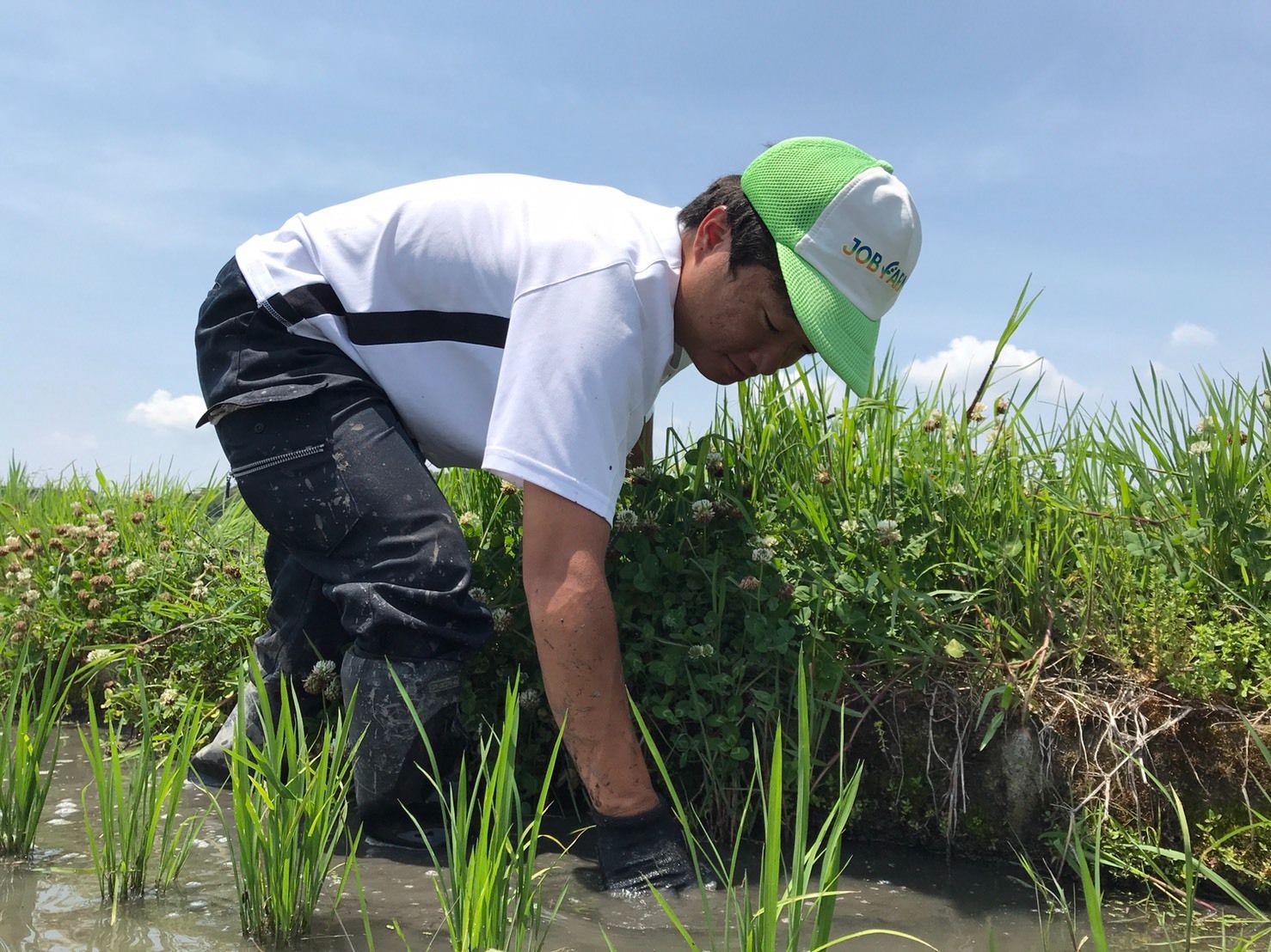 【年度テーマ】自然派日本酒「幸SACHI」