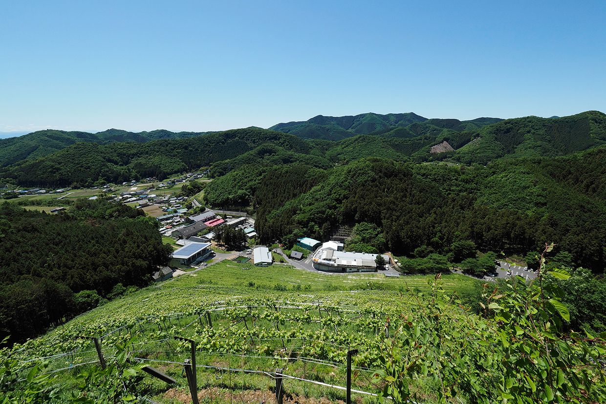 【年度テーマ】陽はまた昇る