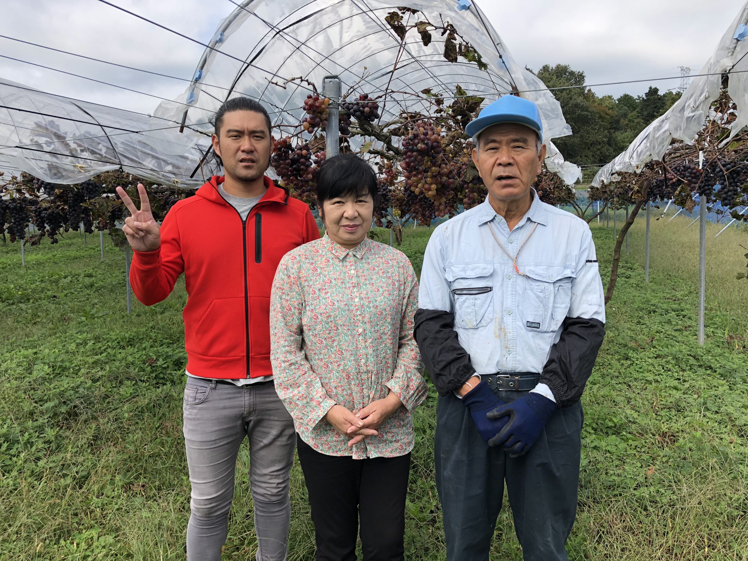 【自由テーマ】社会復帰を目指すワイン