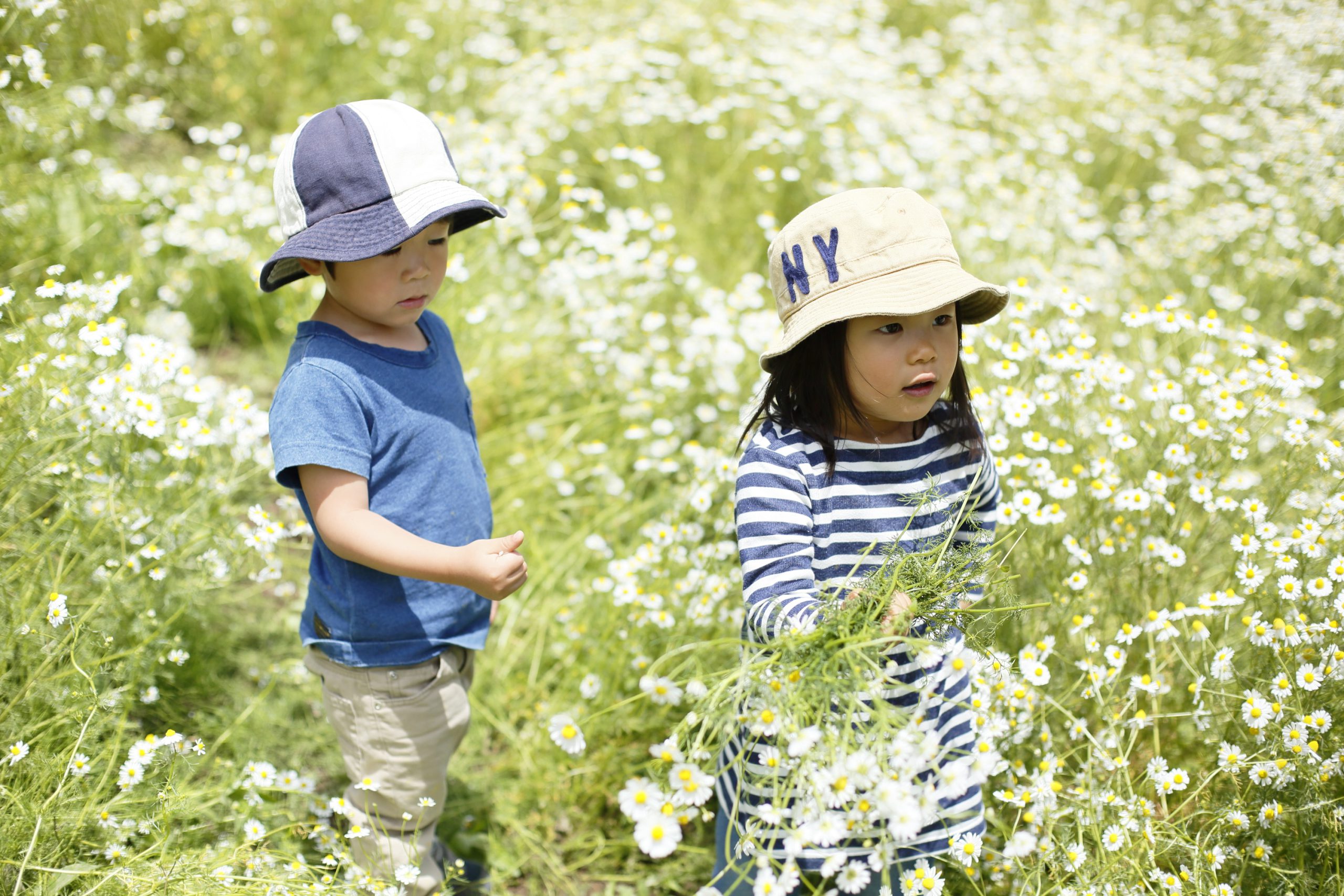 【自由テーマ】華密恋