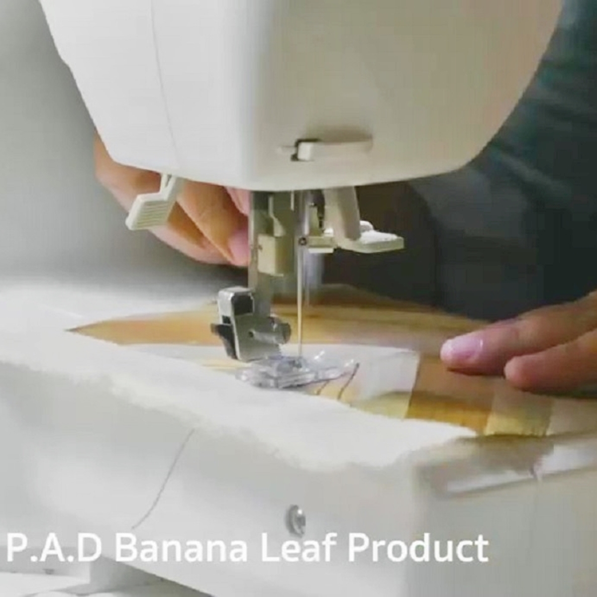 【自由テーマ】P.a.d Banana Leaf Product 名刺入れ