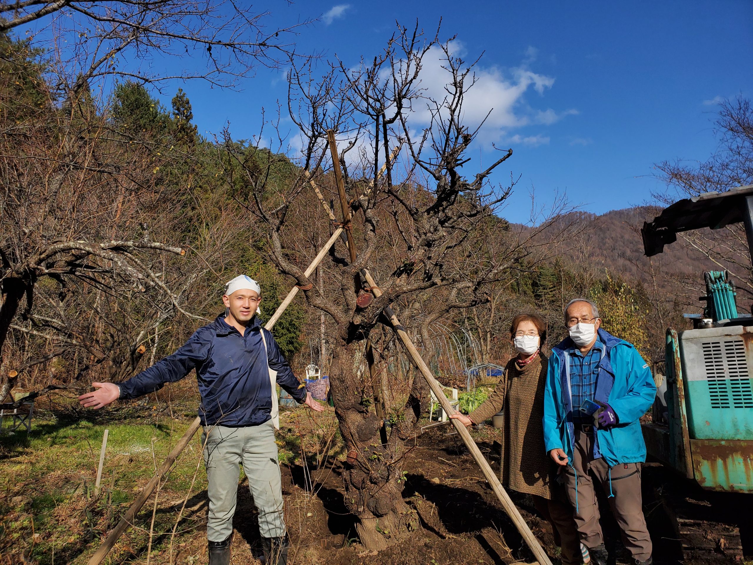 【自由テーマ】「植木の里親」「もらえる植物園」