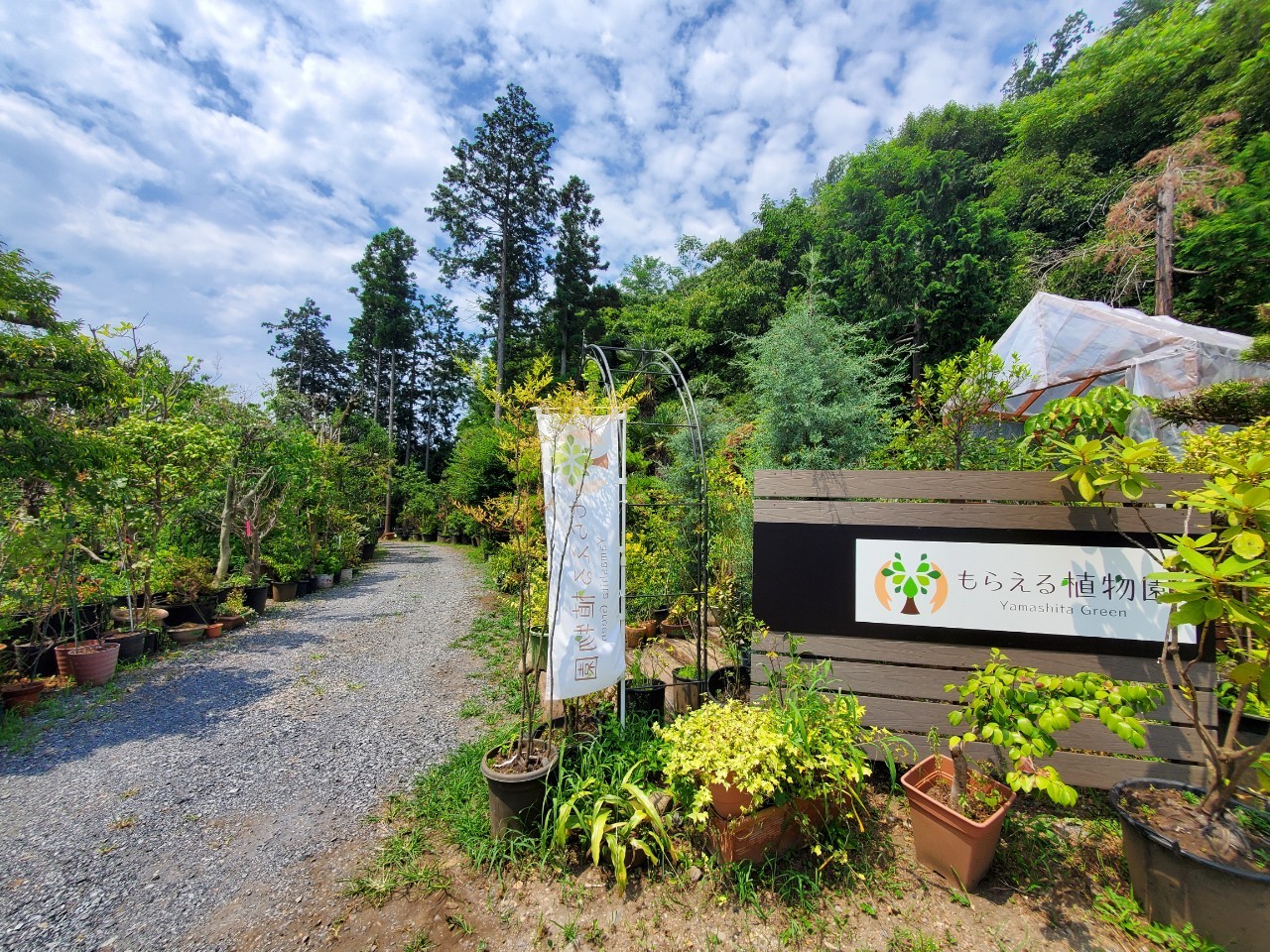 【自由テーマ】「植木の里親」「もらえる植物園」