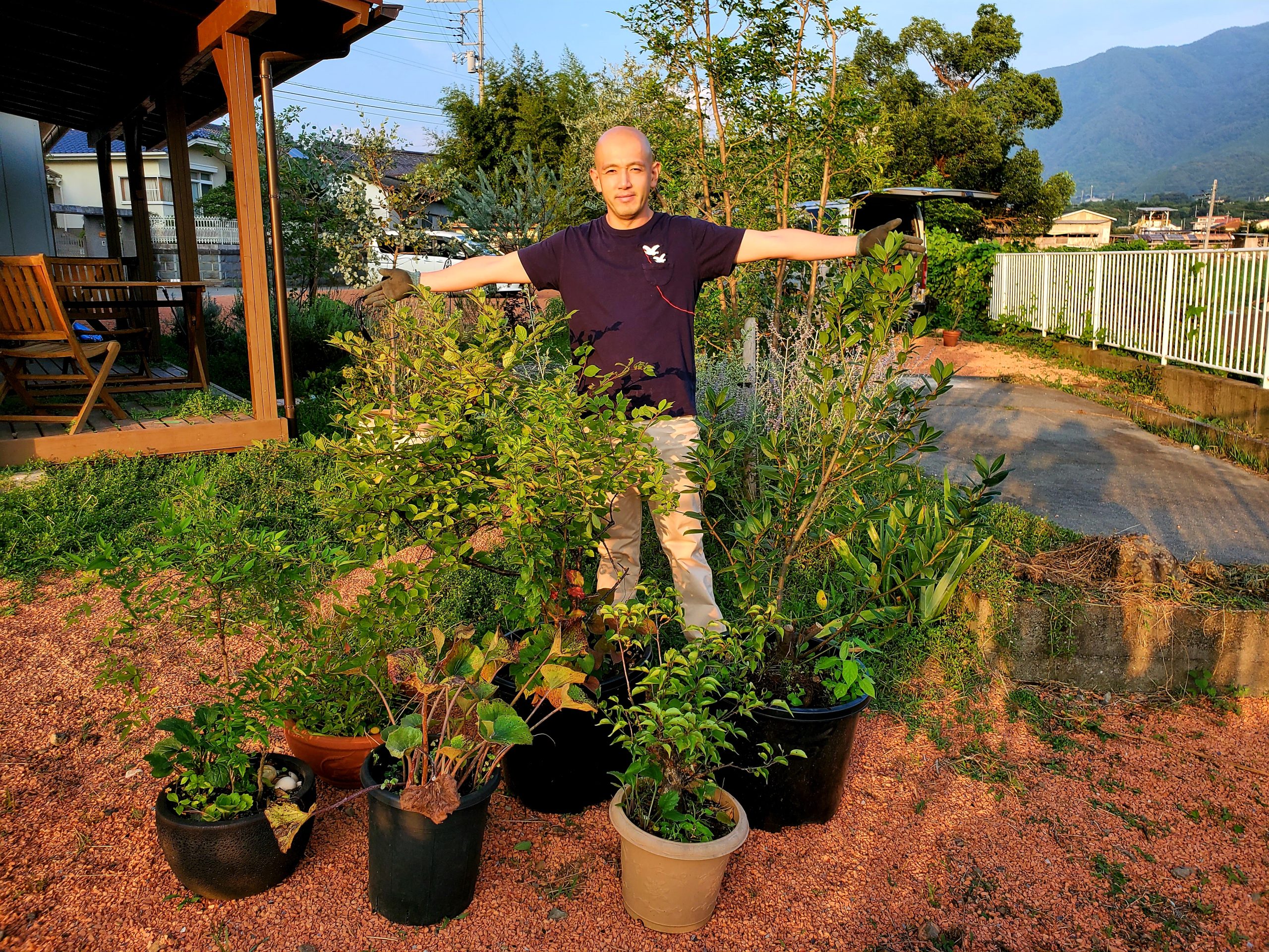 【自由テーマ】「植木の里親」「もらえる植物園」