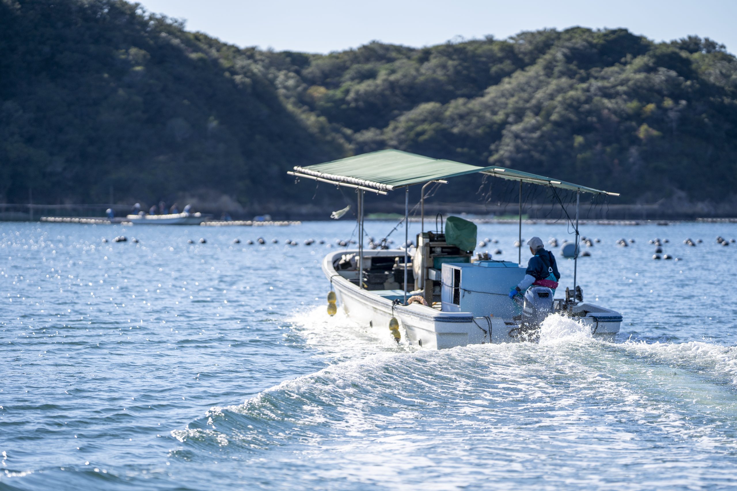 【自由テーマ】金魚真珠