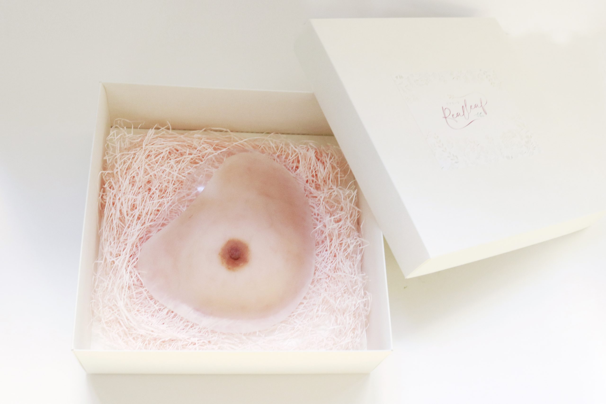 【年度テーマ】人工乳房 リアリーフ