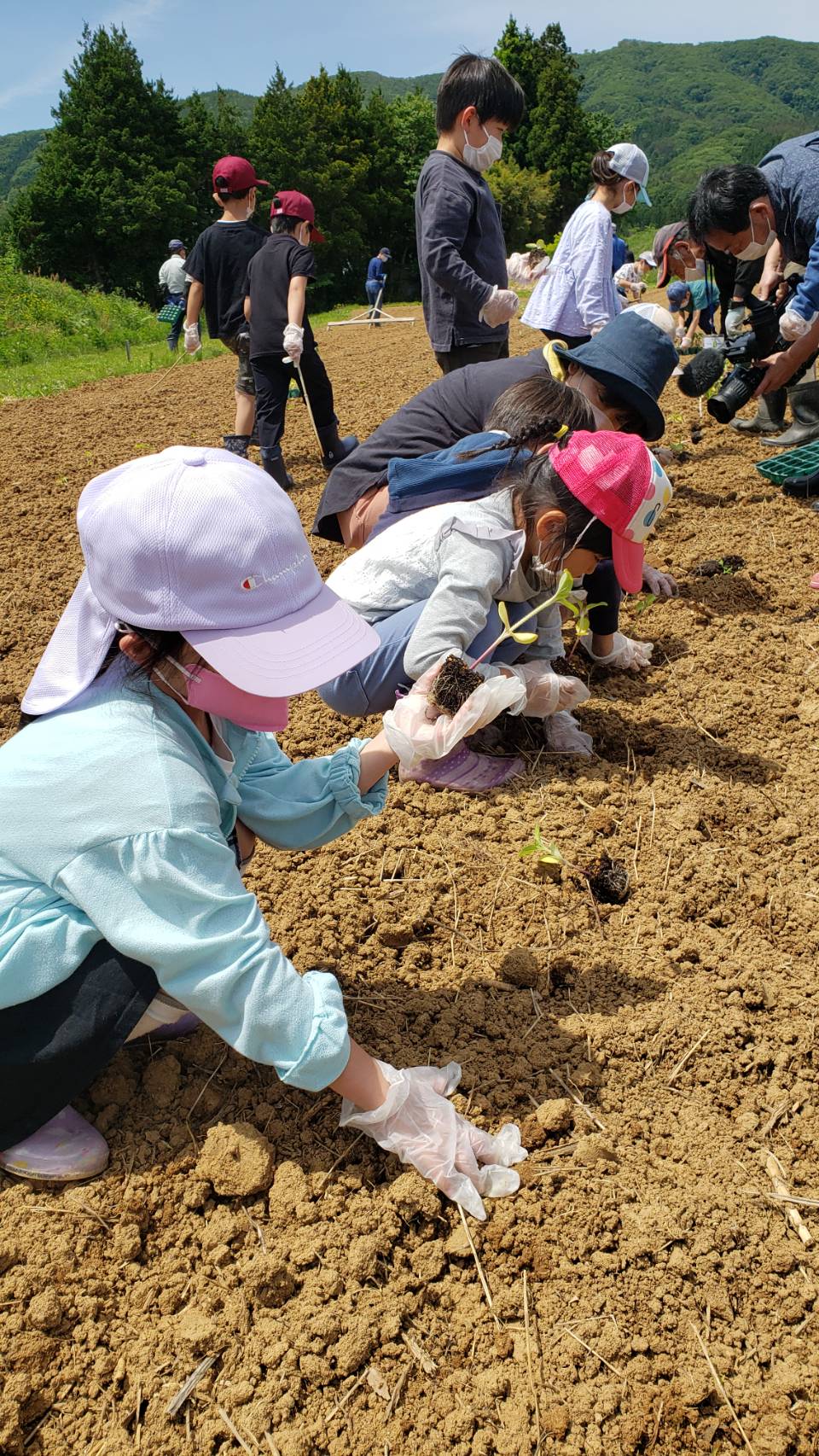 【自由テーマ】福島ひまわり里親プロジェクト