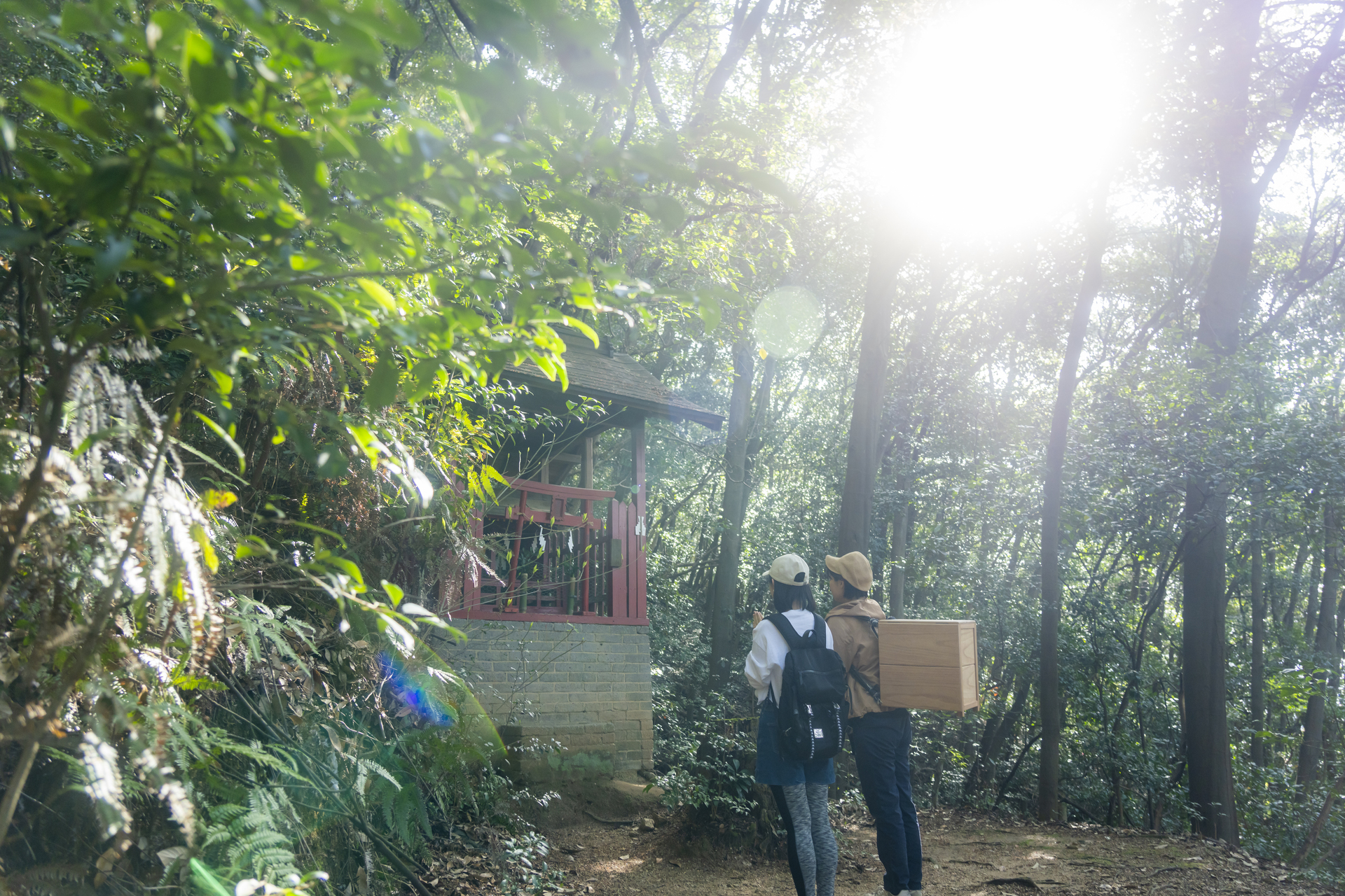 【年度テーマ】Asageshiki ～早朝の絶景を望むハイキングツアー～