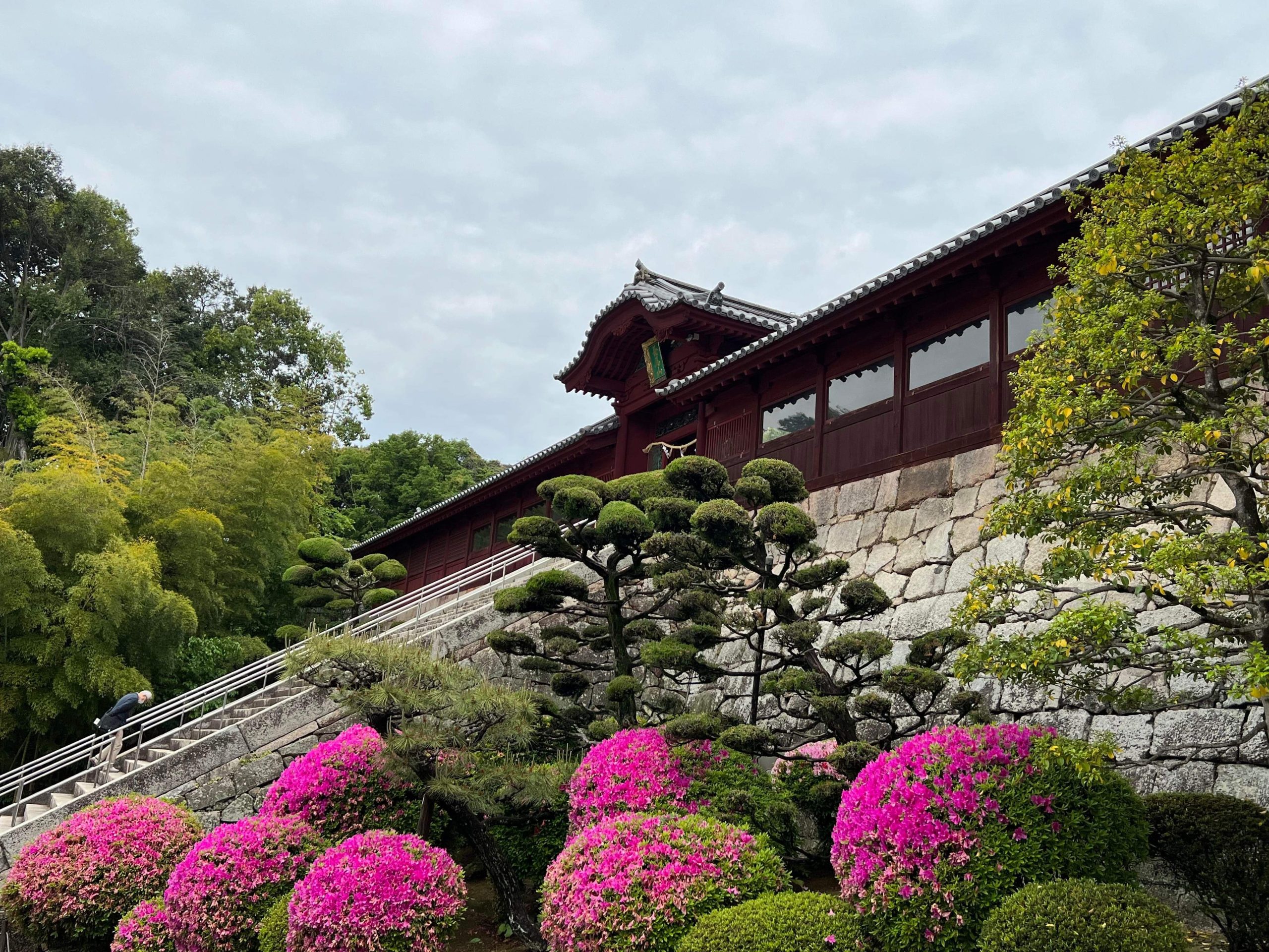 【年度テーマ】Asageshiki ～早朝の絶景を望むハイキングツアー～