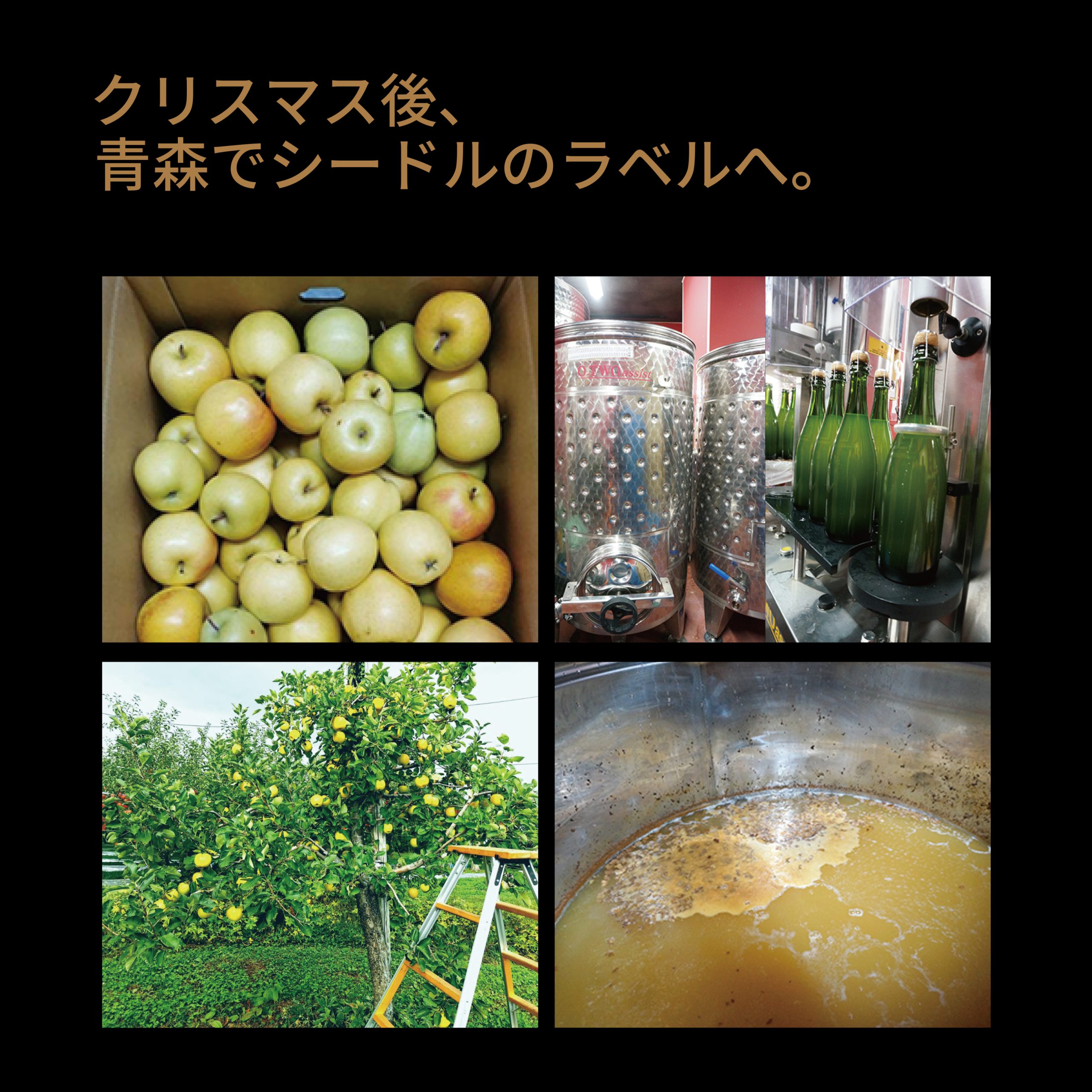 【年度テーマ】NEP* ART CIDRE