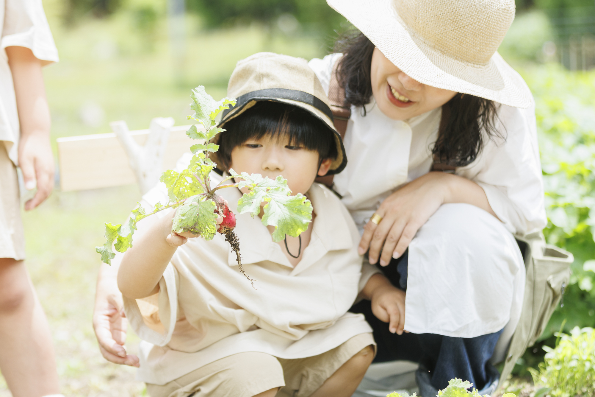 【年度テーマ】ザランタンあば村｜阿波森林公園