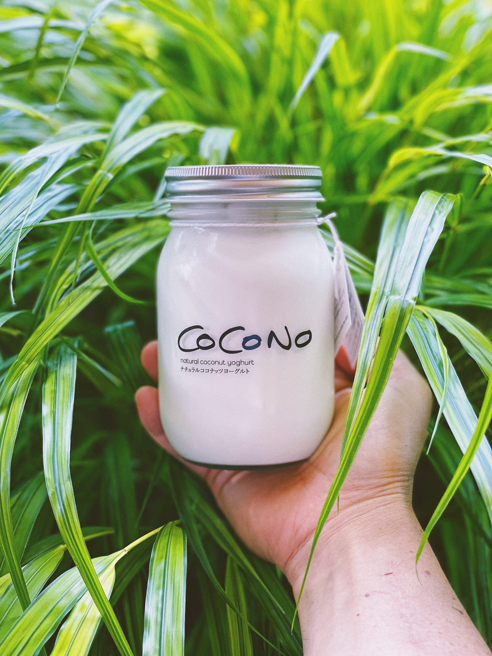 COCONO Natural 株式会社のロゴ