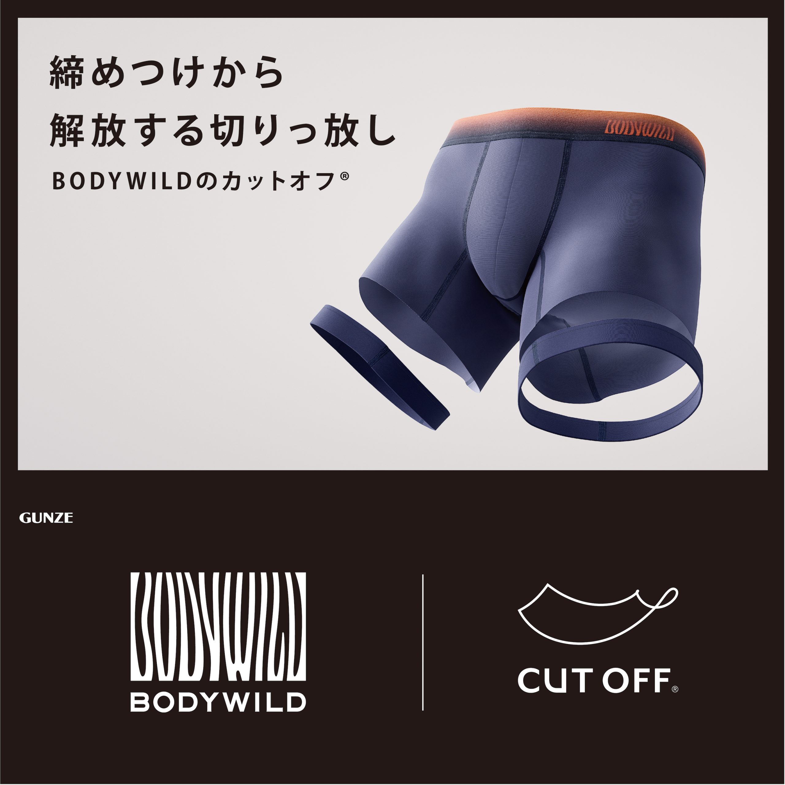 自由テーマ】カーボンネガティブを達成したグンゼ 「BODY WILD」ボクサーパンツ （SPA）- 一般社団法人  ソーシャルプロダクツ普及推進協会（APSP）