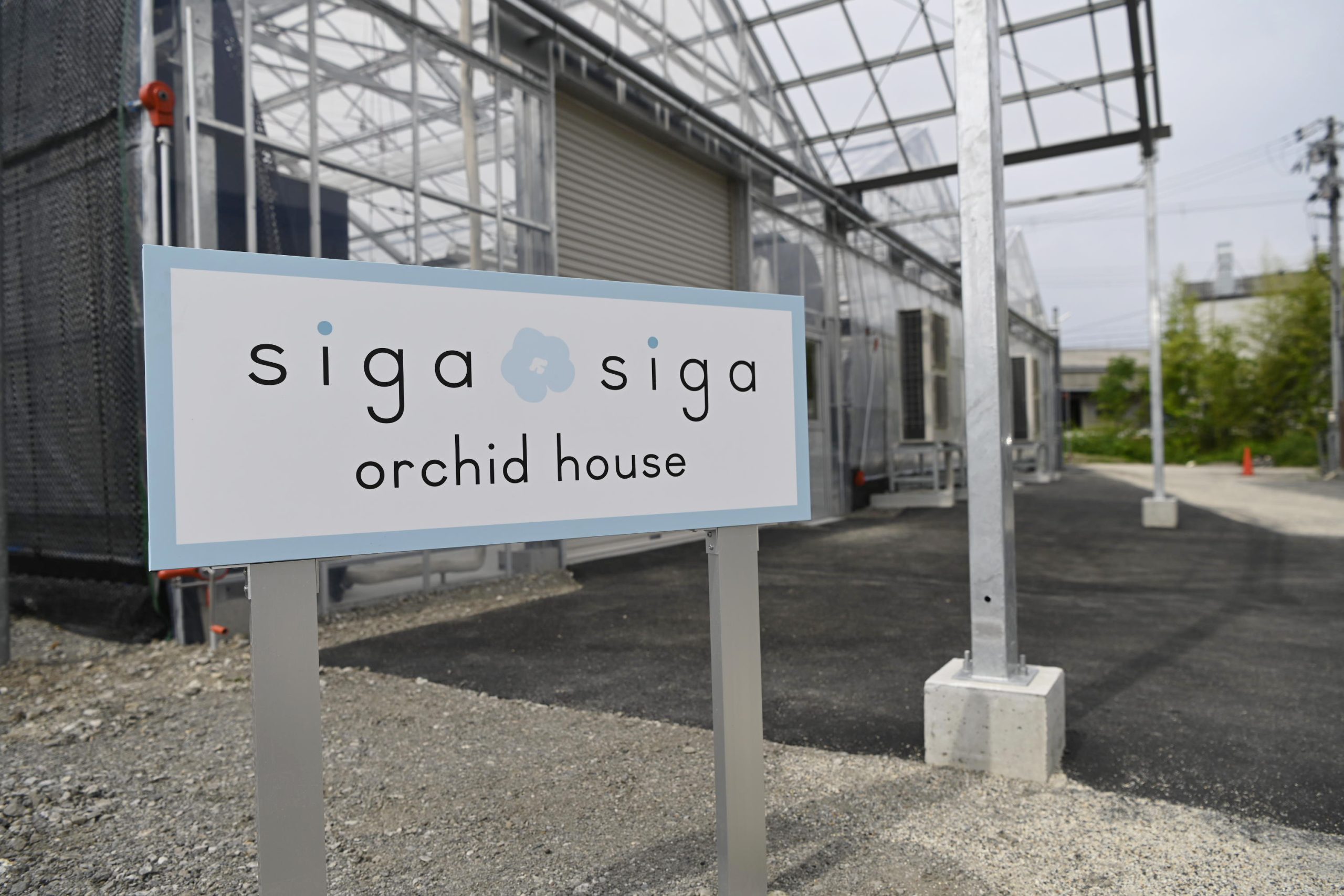 【自由テーマ】社会貢献になる胡蝶蘭</br>sigasiga orchid house