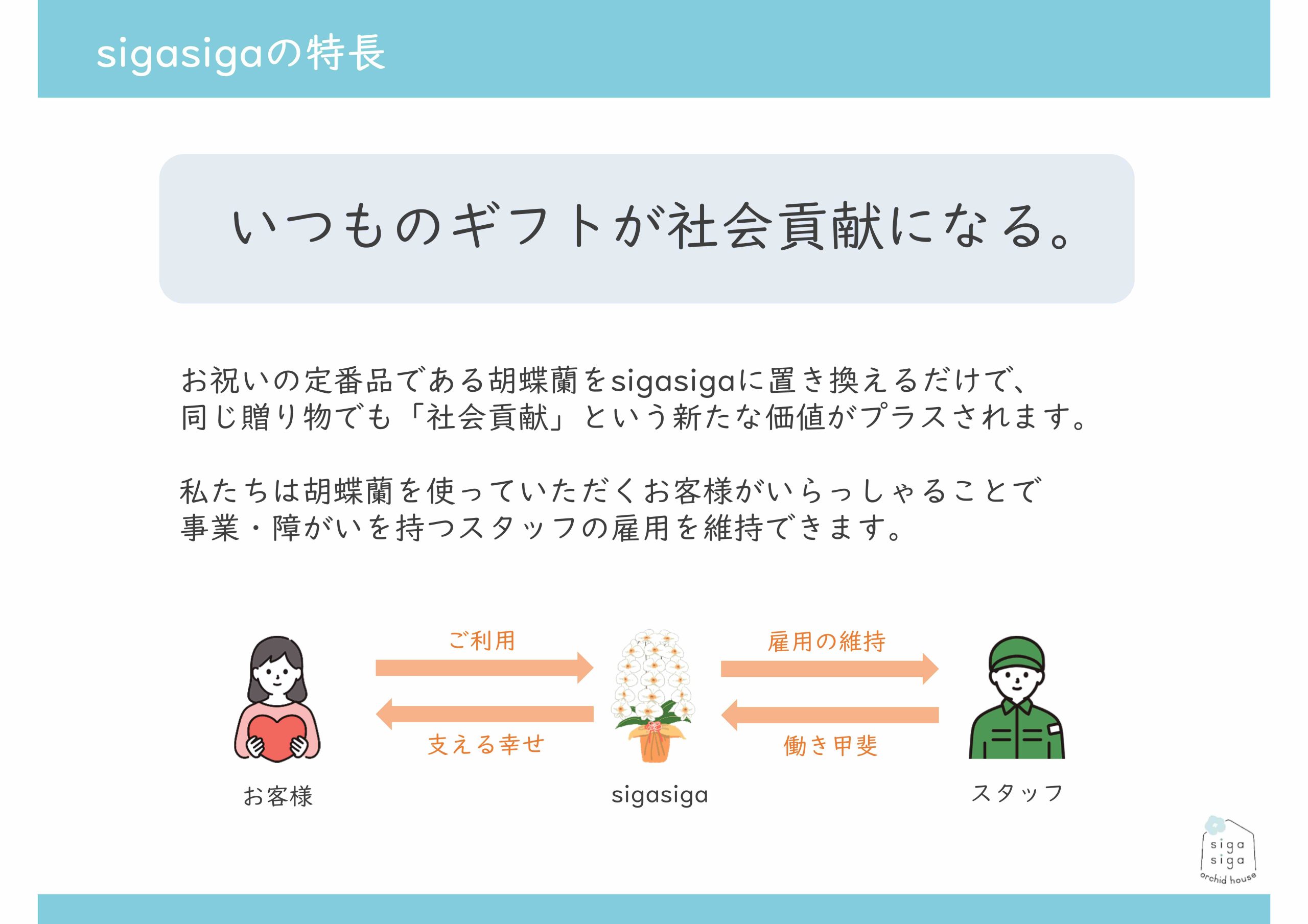 【自由テーマ】社会貢献になる胡蝶蘭</br>sigasiga orchid house