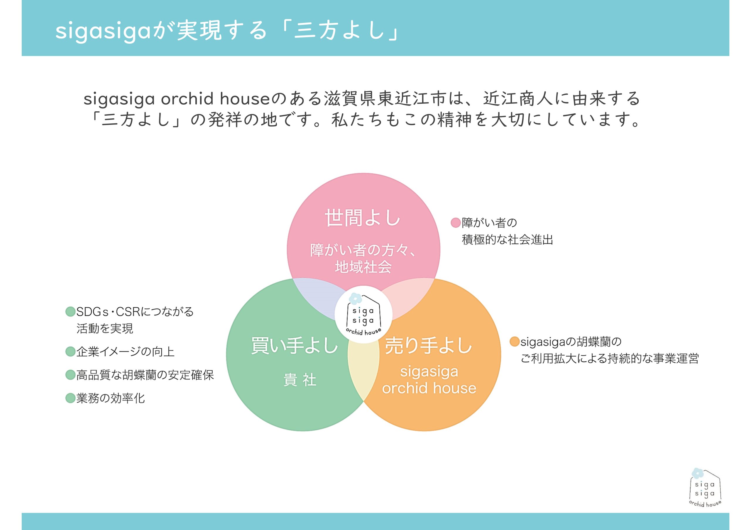 【自由テーマ】社会貢献になる胡蝶蘭</br>sigasiga orchid house