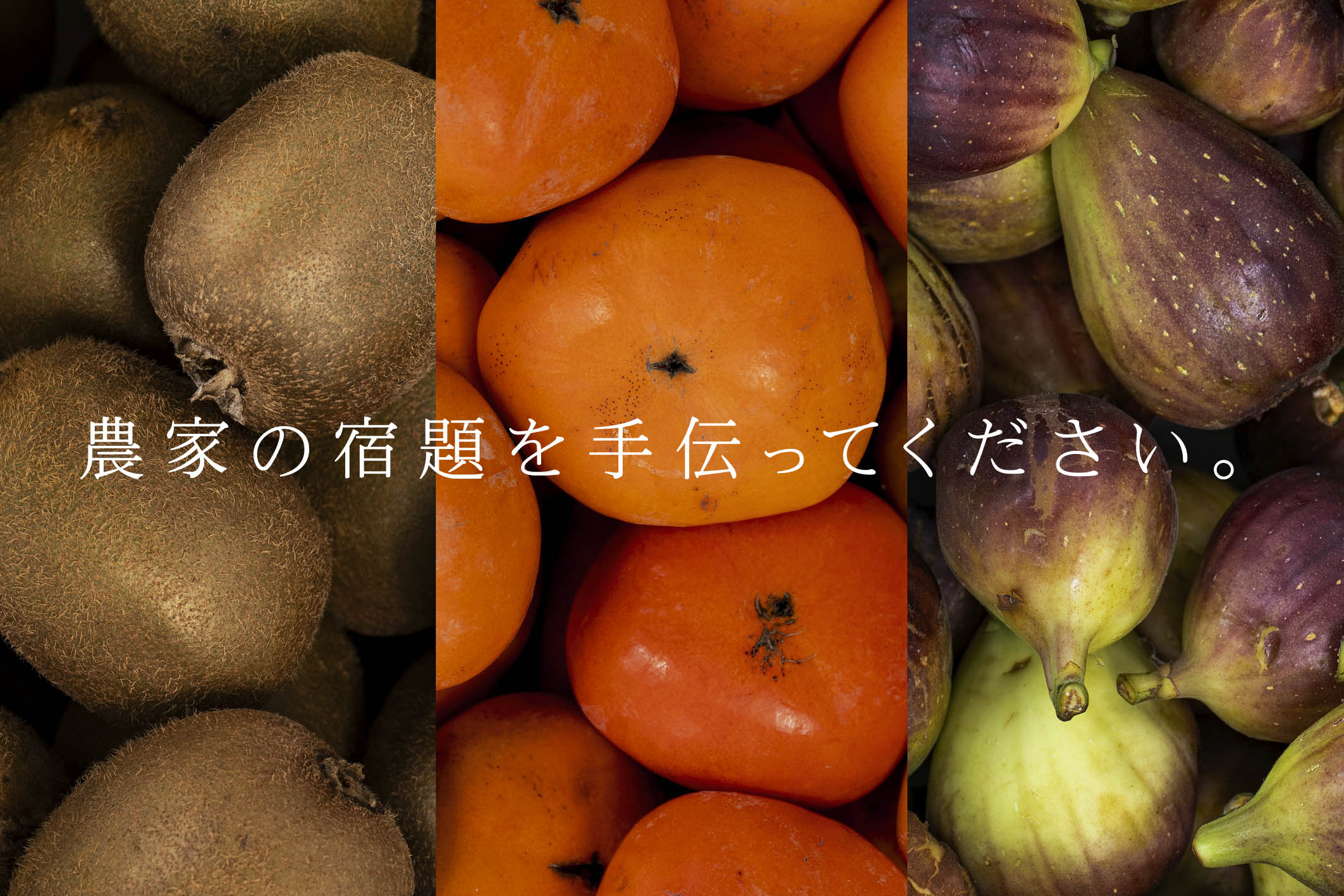 【自由テーマ】もったいない畑のくだものでつくった一筆箋・のうかのしゅくだい