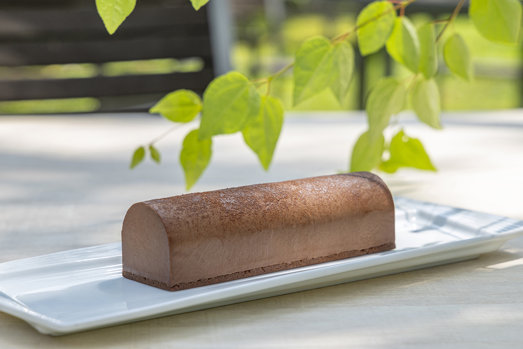 24102【自由テーマ】テリーヌ・オ・ショコラ