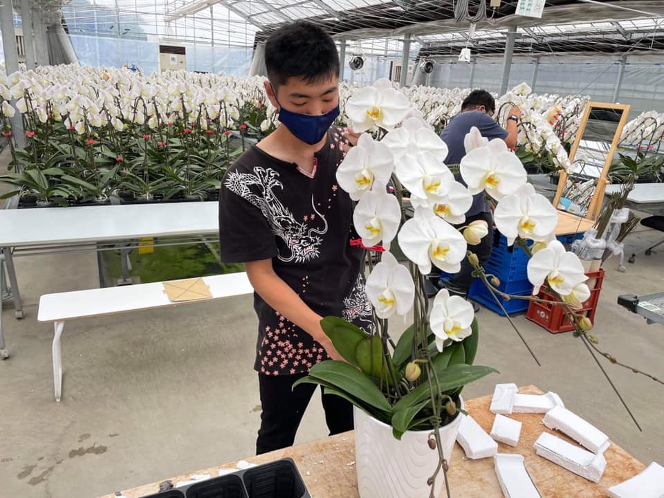 【自由テーマ】Flowers for SDGs