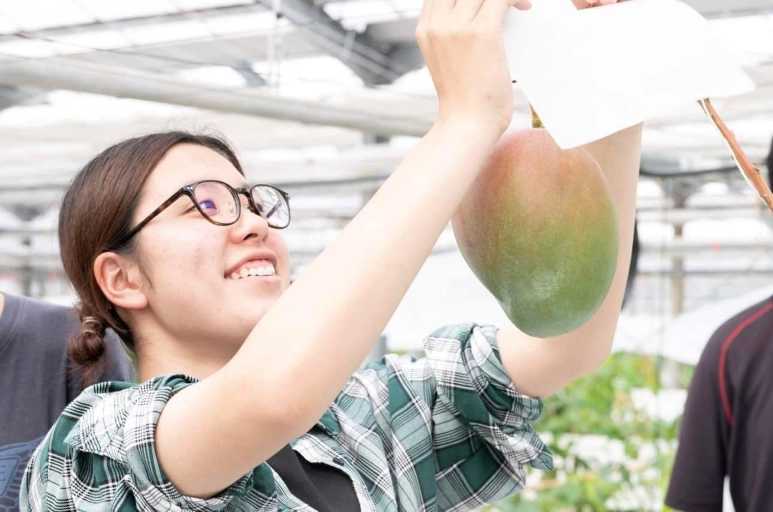 【自由テーマ】Flowers for SDGs