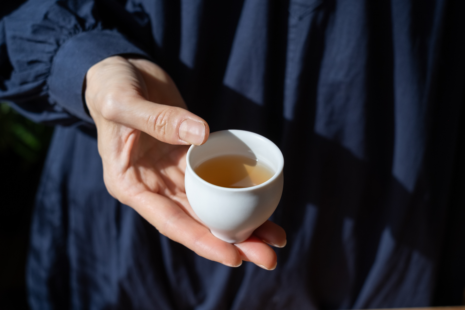 【自由テーマ】LIFE SYRUP -Akamatsu / Echinacea-