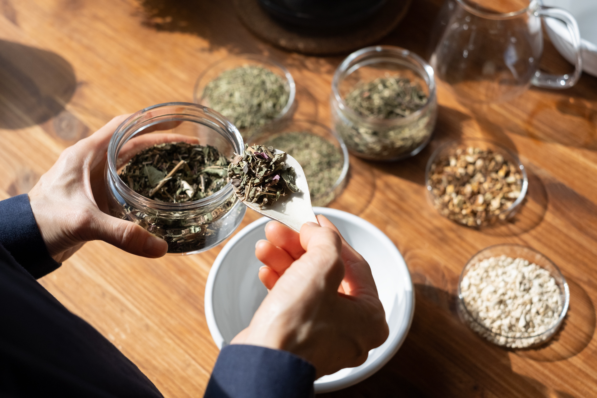 【自由テーマ】LIFE SYRUP -Akamatsu / Echinacea-