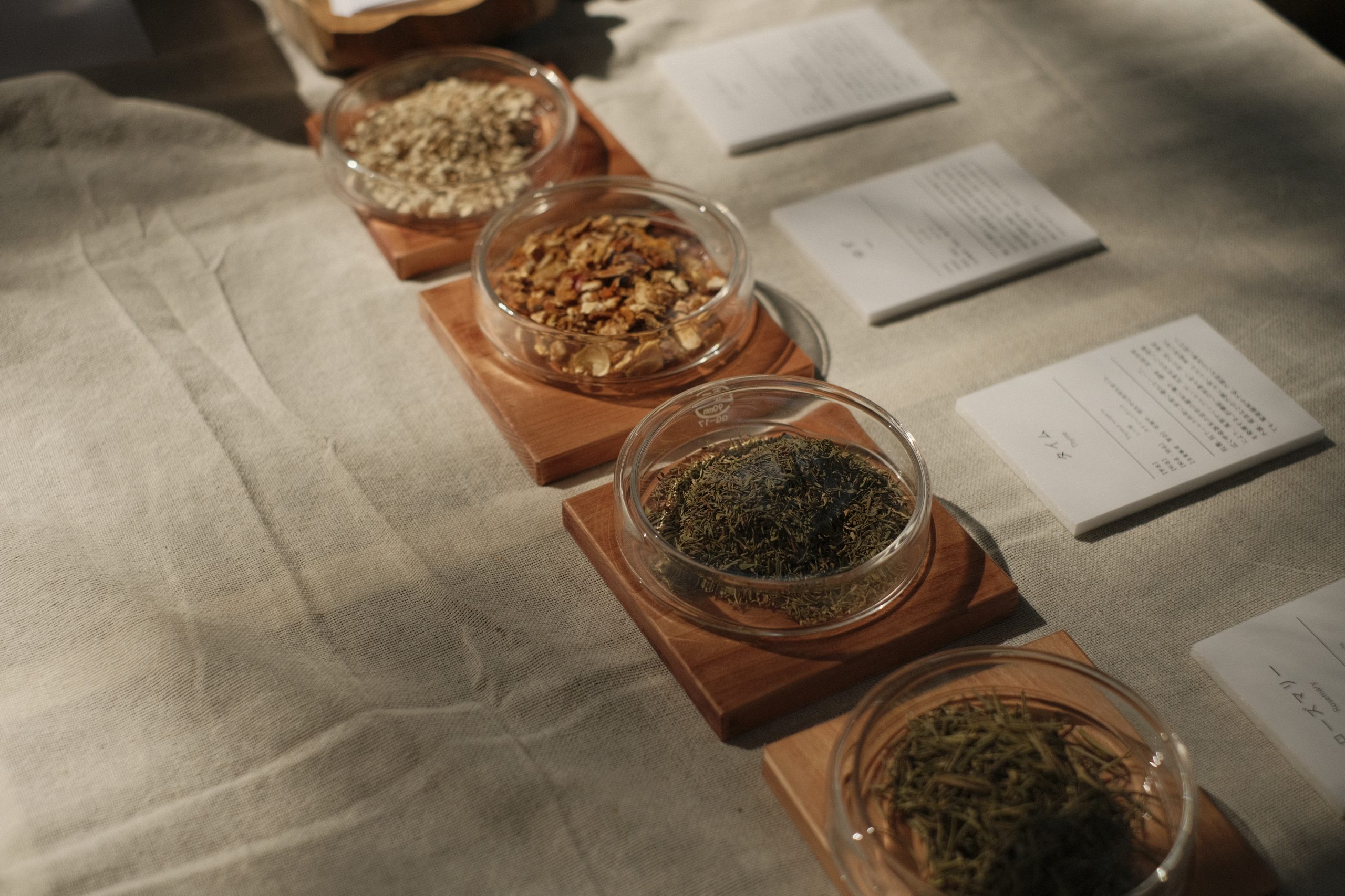 【自由テーマ】LIFE SYRUP -Akamatsu / Echinacea-