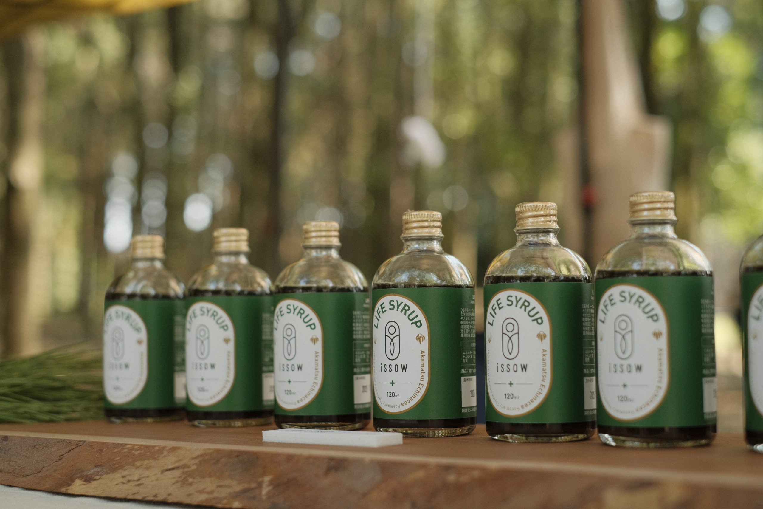 【自由テーマ】LIFE SYRUP -Akamatsu / Echinacea-