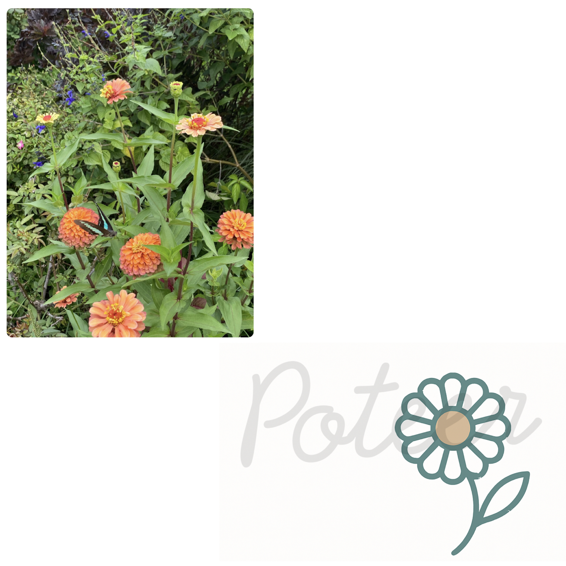 【自由テーマ】Poteer