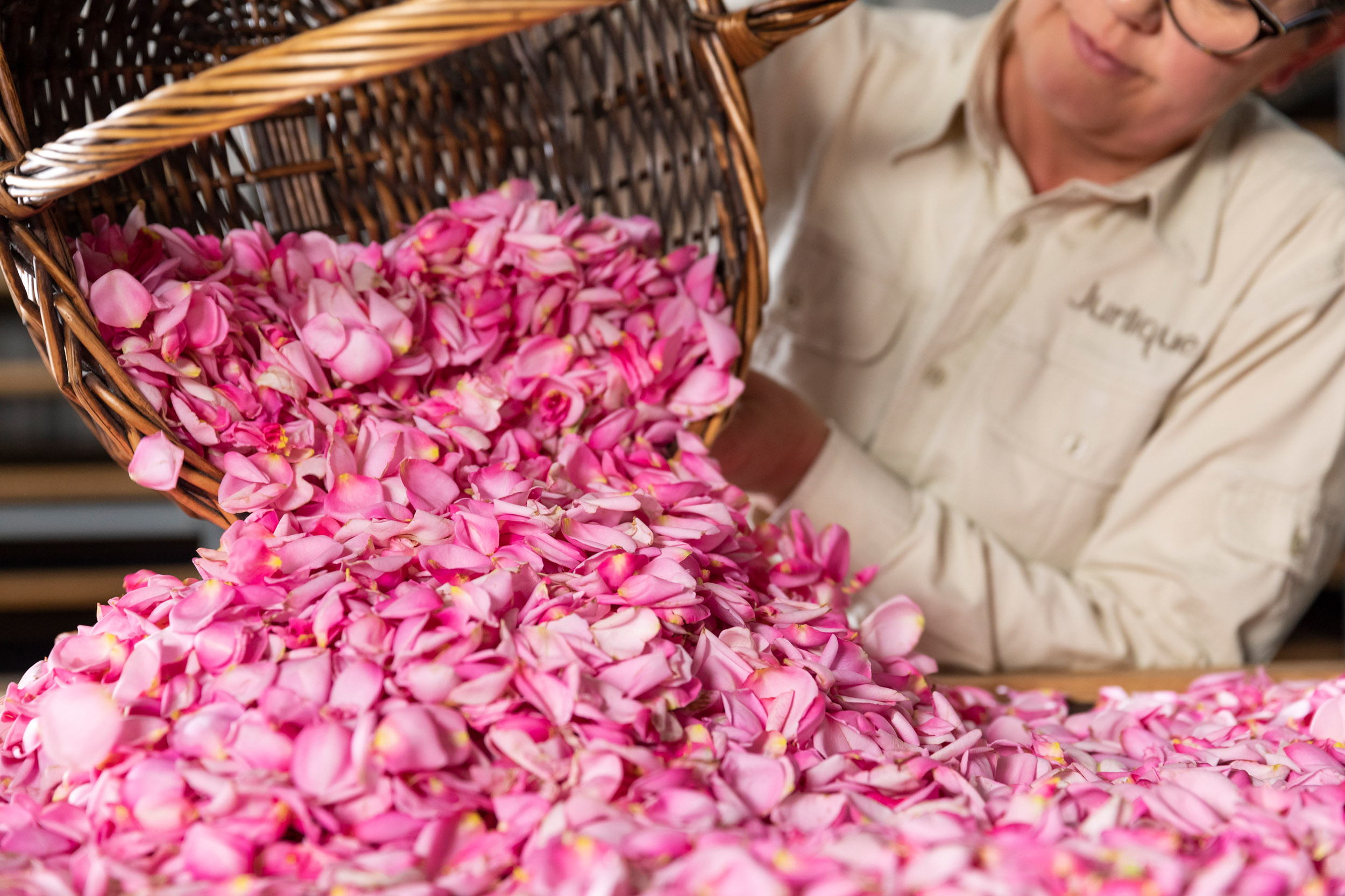 【自由テーマ】ジュリーク RO フェイスオイル