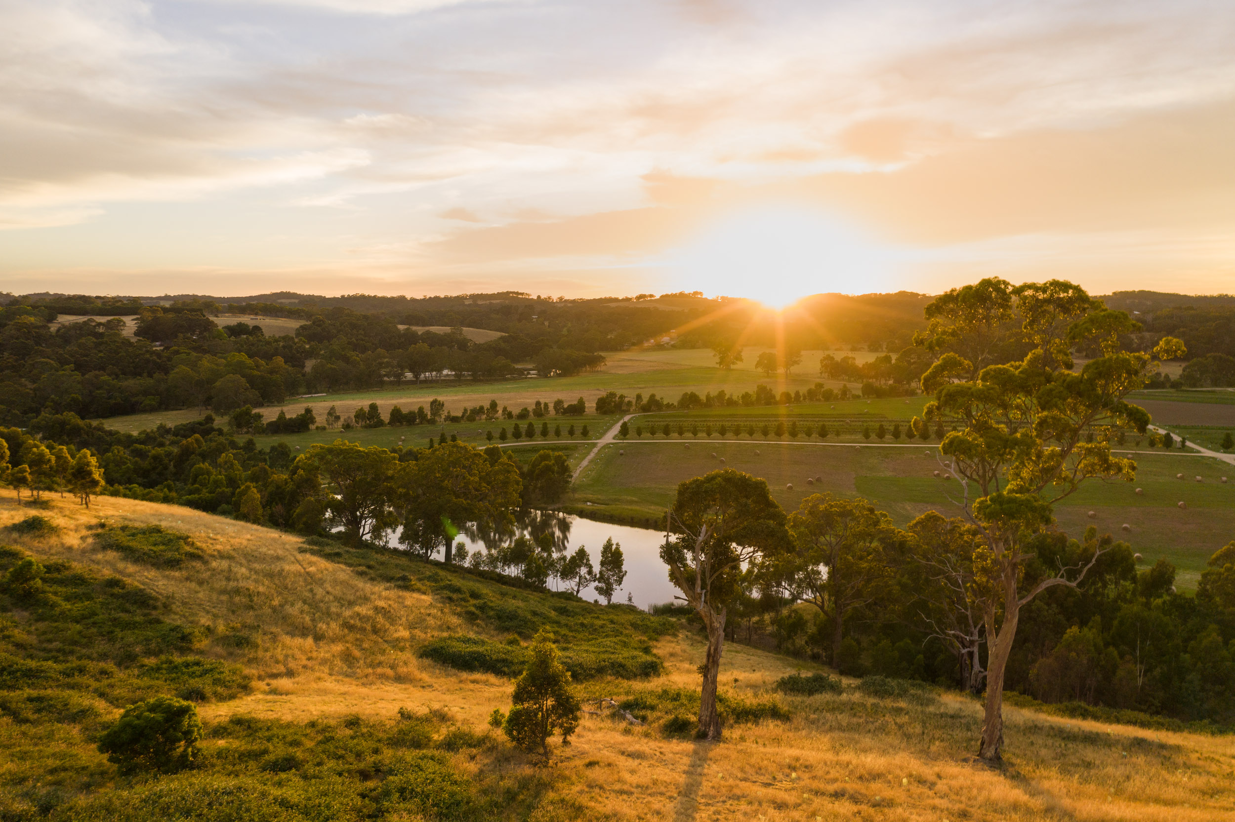 【自由テーマ】ジュリーク RO フェイスオイル