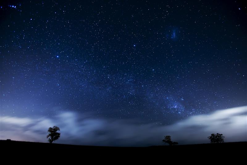 【自由テーマ】ジュリーク RO フェイスオイル
