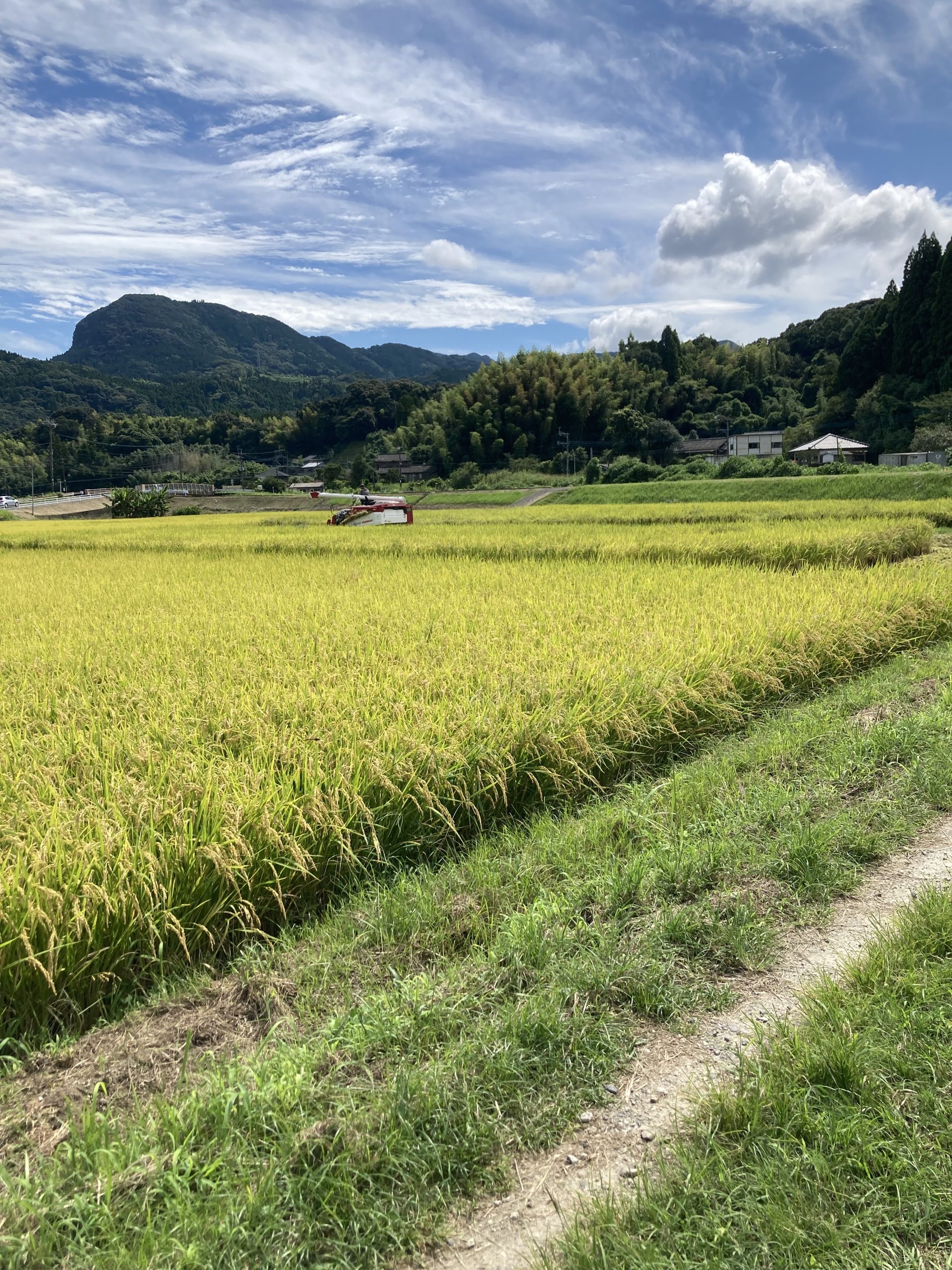 【自由テーマ】オリジンジオ®