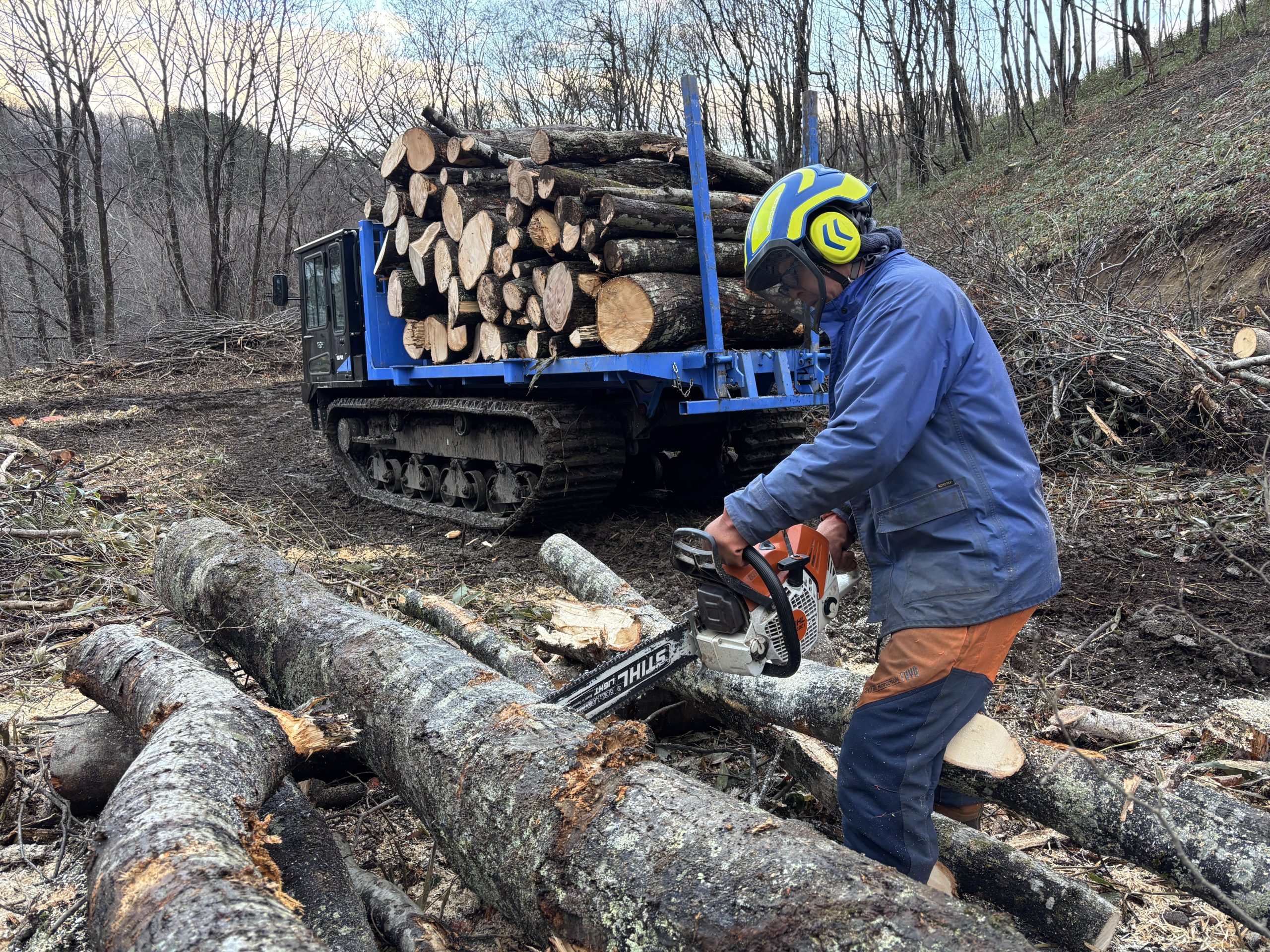 【自由テーマ】三菱製紙家庭紙商品「ナクレ」ティッシュペーパー、トイレットペーパー、ナクレハンドタオル