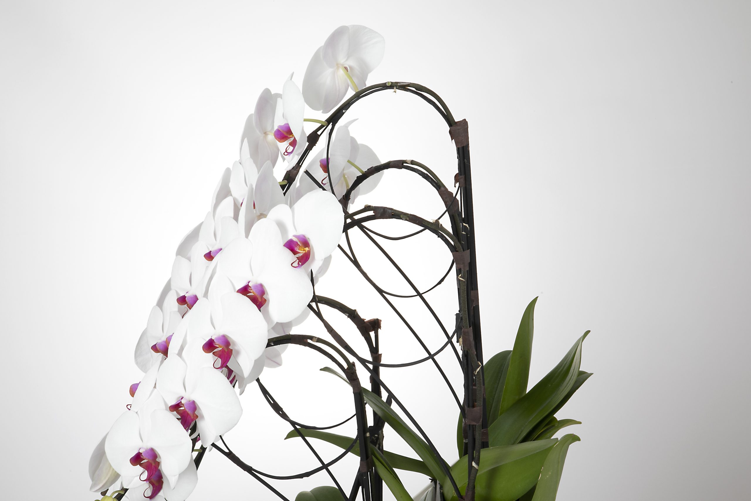 【自由テーマ】FOR EARTH / FOR EARTH ZERO