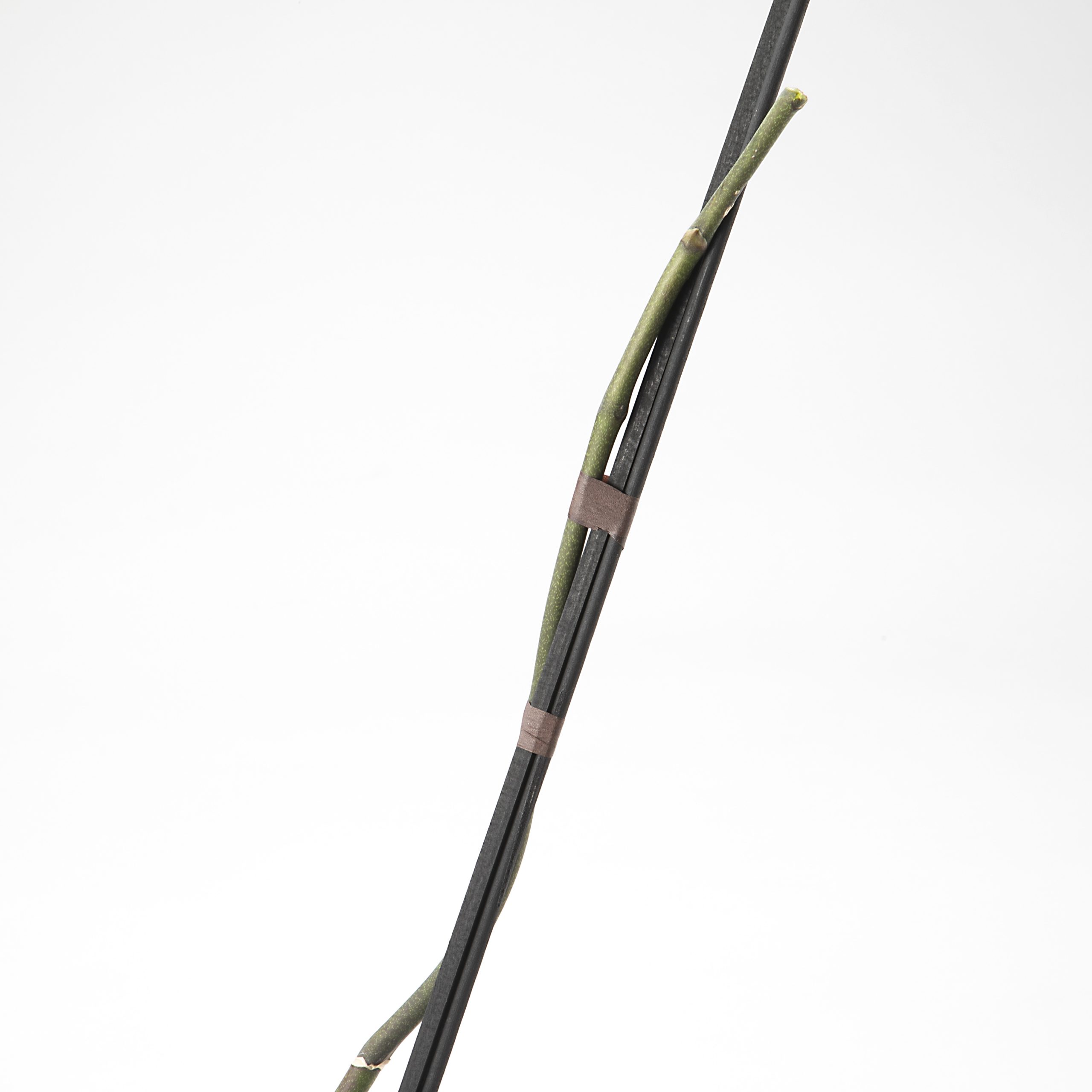 【自由テーマ】FOR EARTH / FOR EARTH ZERO