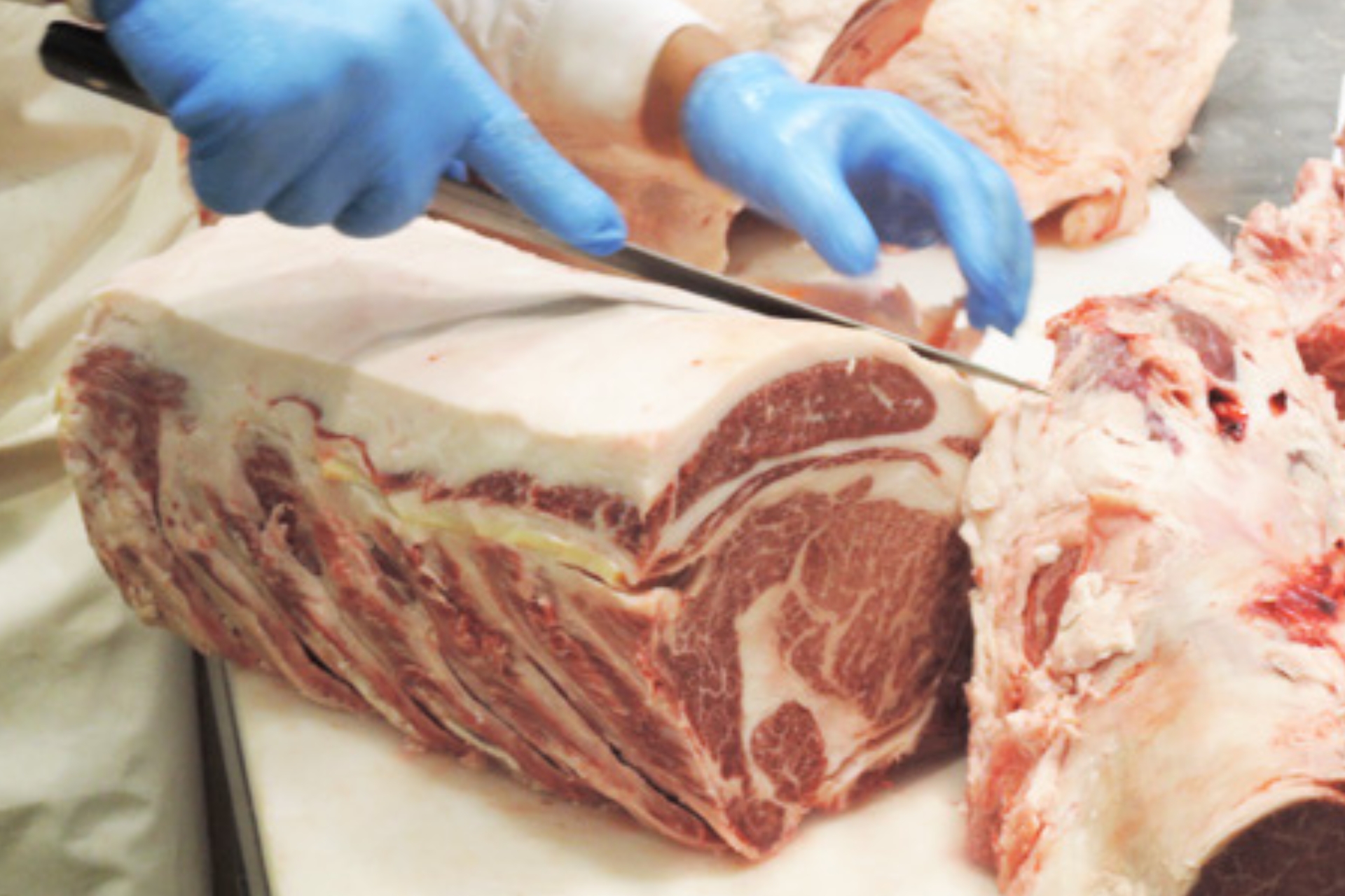 【自由テーマ】モッタイナイビーフ