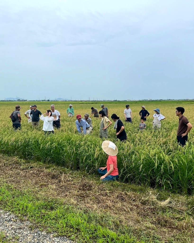 【自由テーマ】米ぬかふりかけ