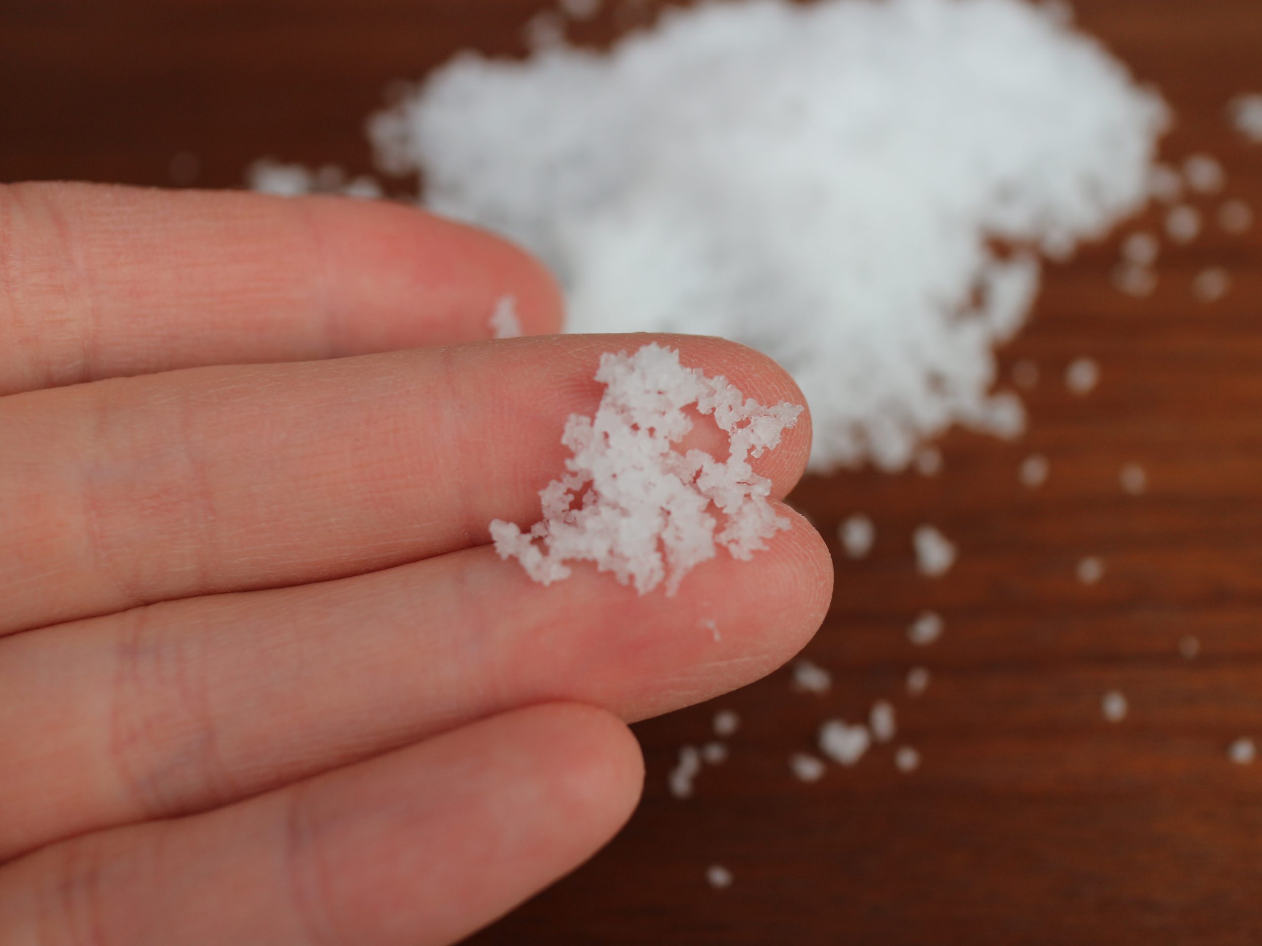 【年度テーマ】能登ひとしお