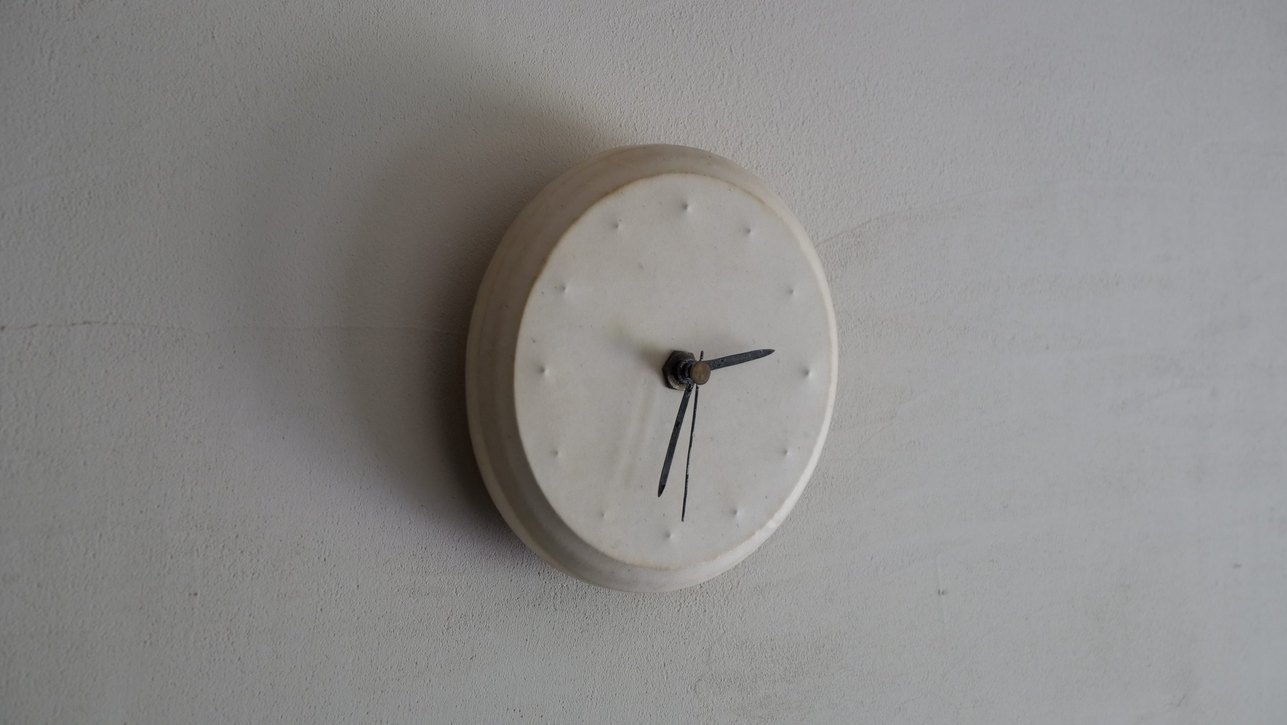 【自由テーマ】個体数調整されたニホンジカ皮から作られた鹿皮の羊皮紙「鹿皮紙」