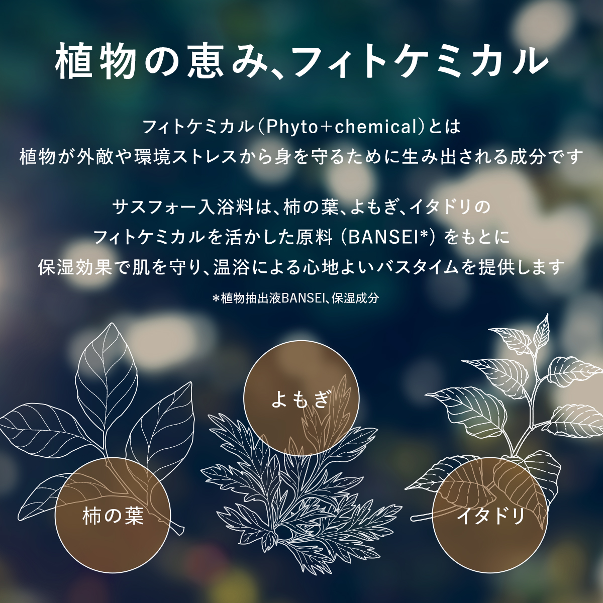 【自由テーマ】sus4