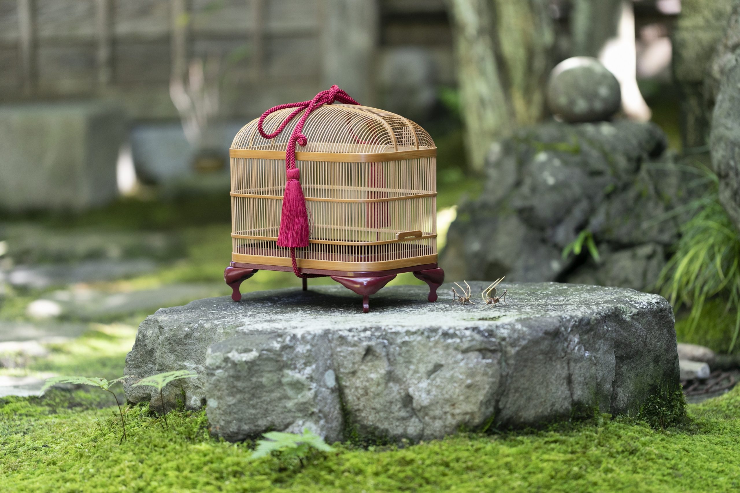 24662【自由テーマ】Sonnenglas®︎ EN